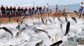 2020深圳国际渔业博览会