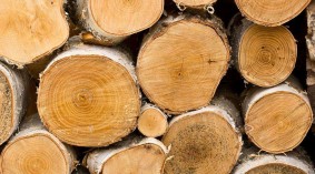 全木材首届木材、家居行业B2B在线展会
